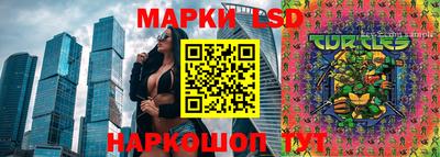 стафф Аргун