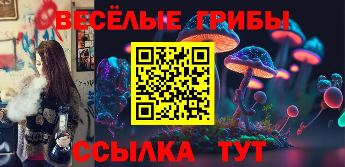 Галлюциногенные грибы мухоморы Владимир