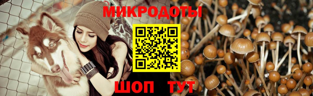 Владимир  что такое наркотик  Вход с VPN  Галлюциногенные грибы GOLDEN TEACHER 
